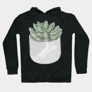 A cute potted succulent Hoodie